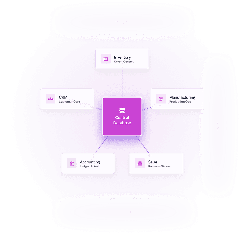 Central database diagram showing Odoo ERP implementation across business modules