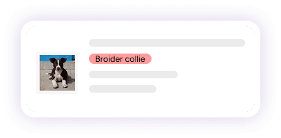 Dashboard Card 1