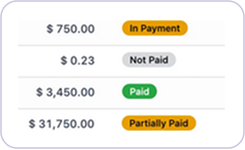 Payment Status